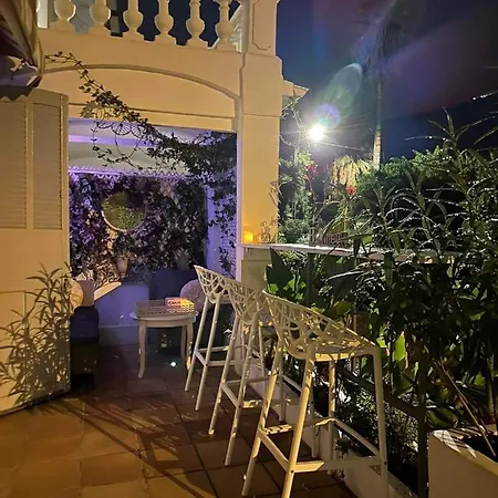 Winter Palace * Cannes